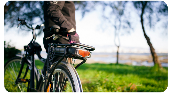 Adult Lightweight  Trek Bike