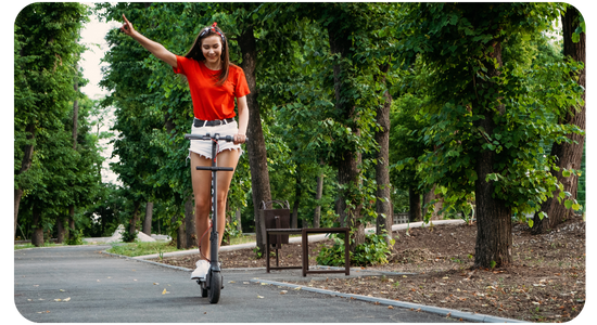 Adult Lightweight  Trek Bike