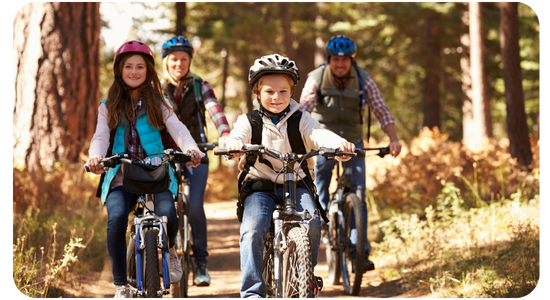 Adult Lightweight  Trek Bike