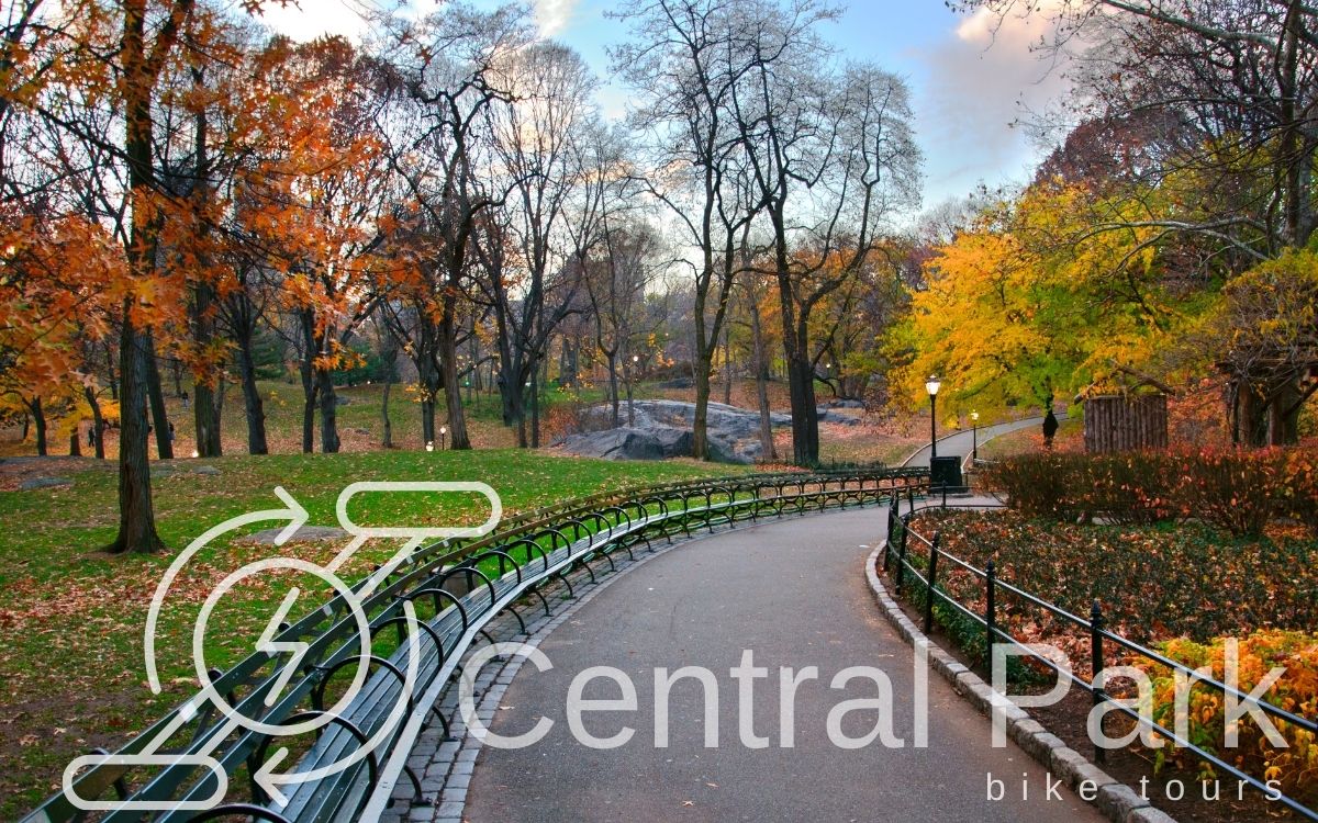 Central Park Bike Tours